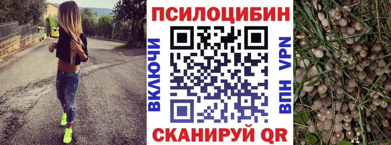 что такое наркотик  Обь  Псилоцибиновые грибы MAGIC MUSHROOMS 
